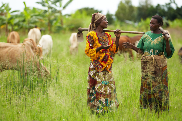 Mwanaidi (left) taught Maria (right) how to grow nutritious sweet potatoes in Tanzania, which improved her income. Photo: ONE